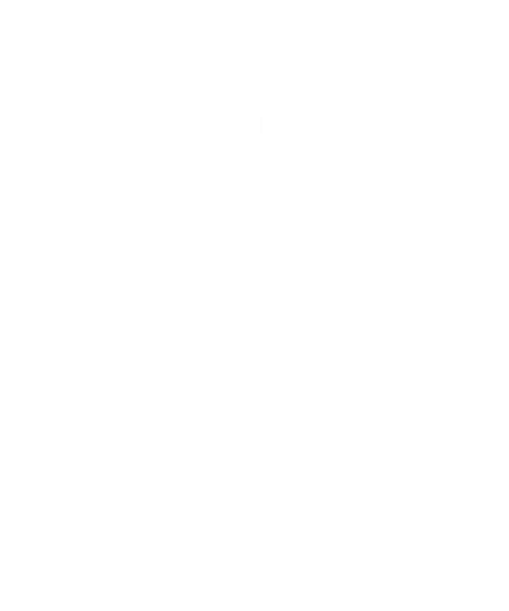 Calistenia Recreio RJ